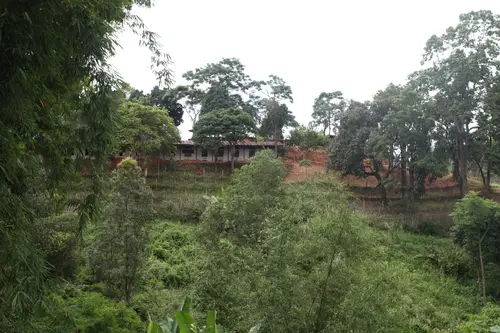 边龙村山林人家