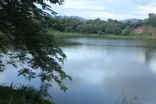 边龙村湖景