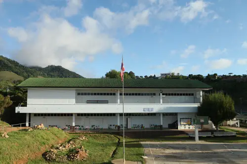 绿瓦教学楼与旗杆
