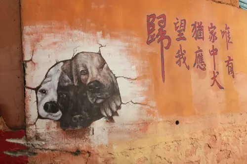 望归犬壁画